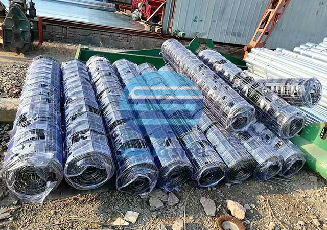 15TH January2026，Zimbabwe