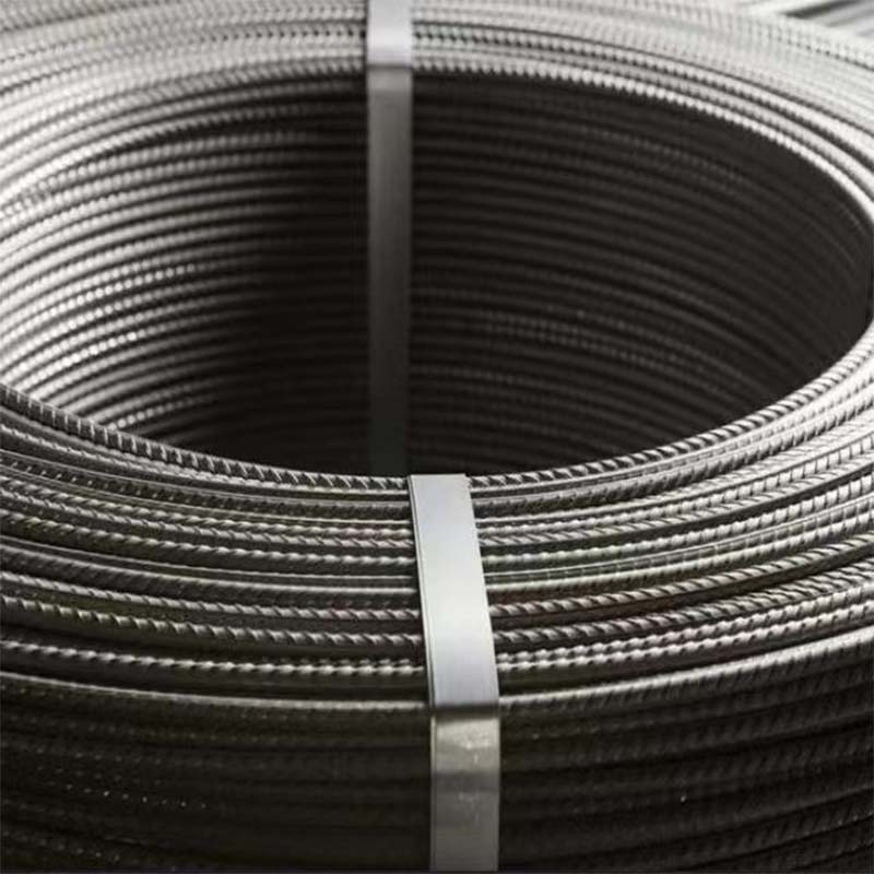 Rebar 5